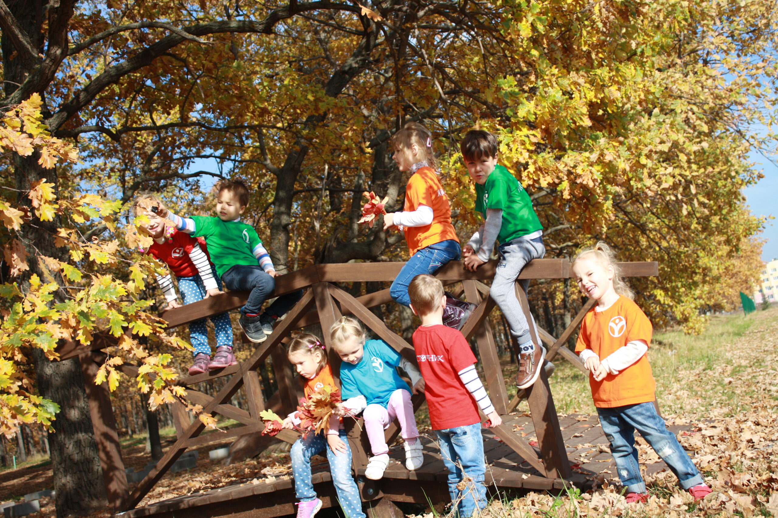 Children playing and exploring nature on a forest playground in autumn